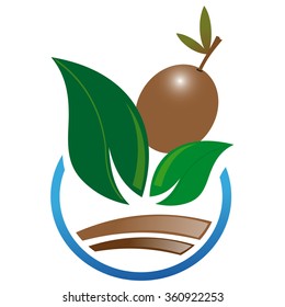 Abstract icon of brown olive
