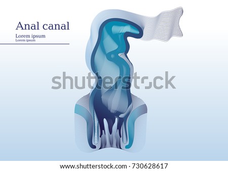Abstract illustration of anal canal