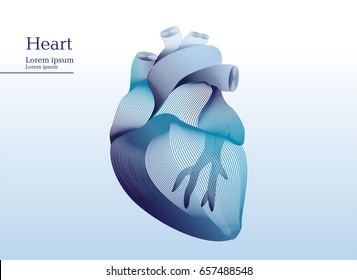 Abstract Illustration Of Anatomical Human Heart