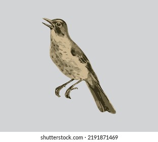abstract illustration of a bird with brown color