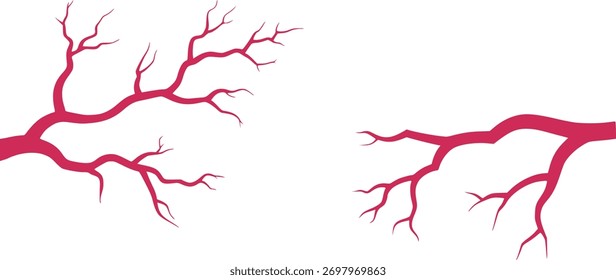 Ilustração abstrata de estruturas vermelhas ramificadas que se assemelham a veias ou artérias contra um fundo branco limpo.