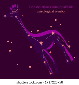 Abstract illustration of constellation Camelopardalis, connection of stars in sky, star map. Astrological symbol on dark purple background. Vector illustration for card tarot design, social groups.
