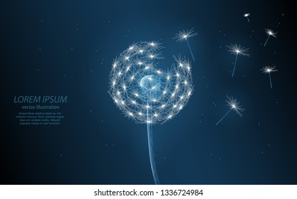 Abstract illustration of a dandelion with flying seeds, on a dark background.