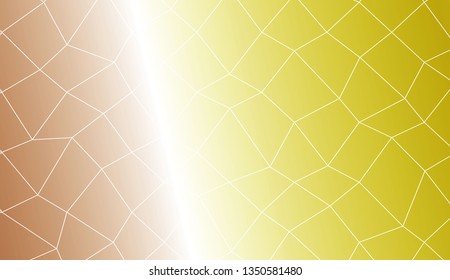 Abstract illustration with an elegant polygonal mesh . For your wallpaper, advert, banner, poster. Vector illustration
