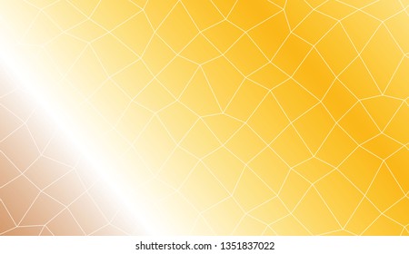 Abstract illustration with an elegant polygonal mesh . For your wallpaper, advert, banner, poster. Vector illustration