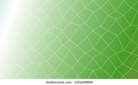 Abstract illustration with an elegant polygonal mesh . For your wallpaper, advert, banner, poster. Vector illustration