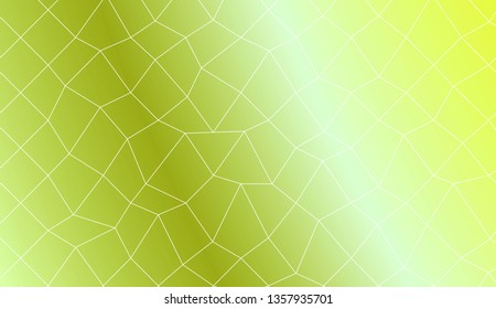 Abstract illustration with an elegant polygonal mesh . Bright background for poster, banner, flyer. Vector illustration. Creative gradient color