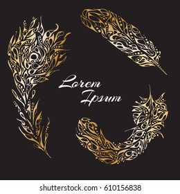 Abstract illustration of feather