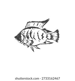 abstract illustration of fish silhouette without background