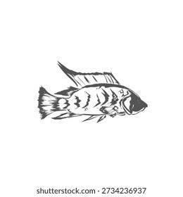 abstract illustration of fish silhouette without background