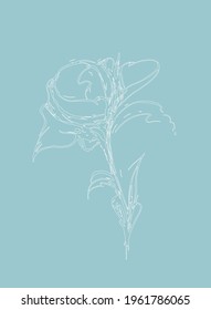 Abstract illustration of a flower on a blue background, for business cards, postcards, banners. Vector illustration.