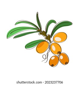 Abstract illustration of a fruit berry plant on a white background