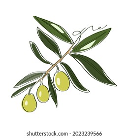 Abstract illustration of a fruit berry plant on a white background