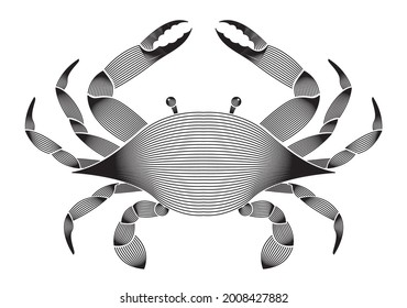 Abstract illustration geometric linear of Crab vector. 