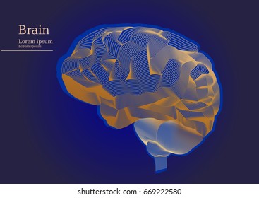 Abstract illustration of human anatomical brain on dark background