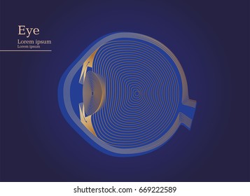 Abstract illustration of human anatomical eye on dark background