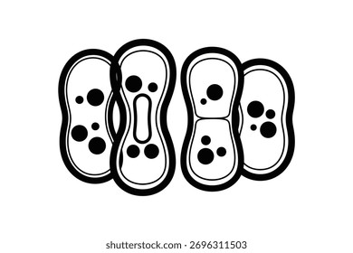 Abstract illustration of interconnected cells with distinct shapes and patterns on a white background