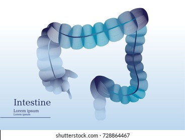 Abstract illustration of intestine