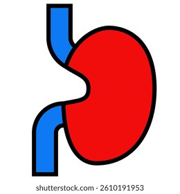 Abstract Illustration of a Kidney Isolated on white background