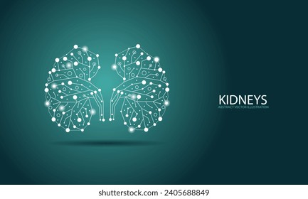 Abstract illustration of Kidneys using lines and dots. EPS. Vector File