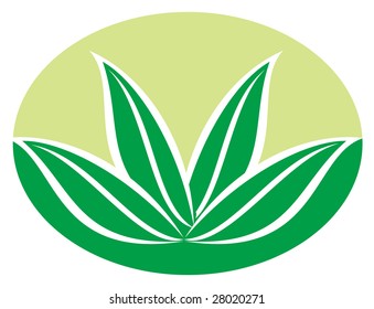 Abstract illustration with leaf and white background