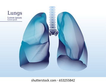 Abstract Illustration Of Lungs