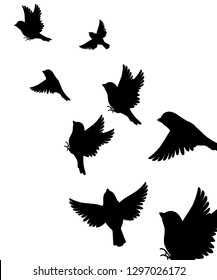 Abstract Illustration Of Many Sparrow Bird Flying Up. Black Silhouette. Bird Fly To The Top. Vector Illustration On White Background.