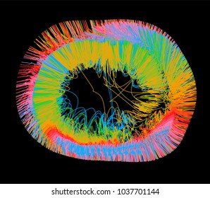 Abstract illustration of mathematical graph.