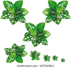 Abstract illustration
Mint symbol
Elements for design of labels
Vector illustration
Mint leaves in the technique of triangulation
Mint low poly
Leaves of fragrant fresh mint