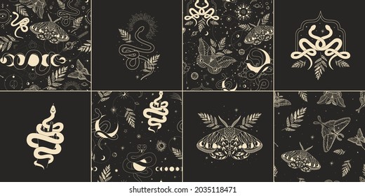 abstract illustration of mystical night. image of a snake, hands, phases of the moon and sun. sacred graphics geometry. mystical energy