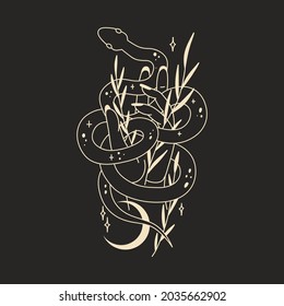 abstract illustration of mystical night. image of a snake, hands, phases of the moon and sun. sacred graphics geometry. mystical energy