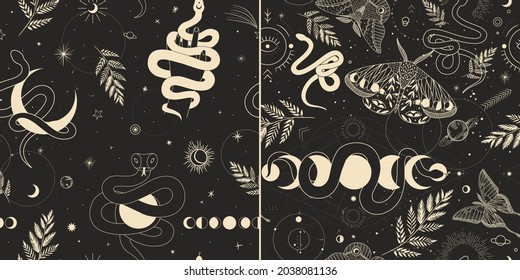 abstract illustration of mystical night. image of a snake, hands, phases of the moon and sun. sacred graphics geometry. mystical energy