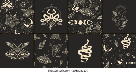 abstract illustration of mystical night. image of a snake, hands, phases of the moon and sun. sacred graphics geometry. mystical energy