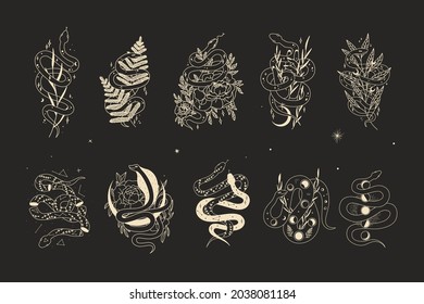 abstract illustration of mystical night. image of a snake, hands, phases of the moon and sun. sacred graphics geometry. mystical energy