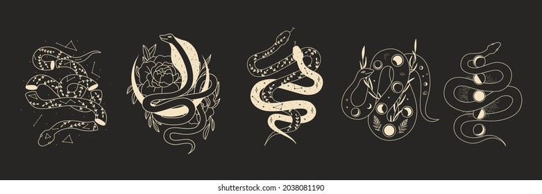 abstract illustration of mystical night. image of a snake, hands, phases of the moon and sun. sacred graphics geometry. mystical energy