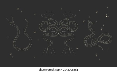 abstract illustration of mystical night. image of a snake, hands, phases of the moon and sun. sacred graphics geometry. mystical energy