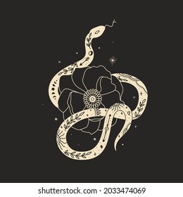 abstract illustration of mystical snake. image of beasts, hands, phases of the moon and sun. sacred graphics geometry. mystical energy