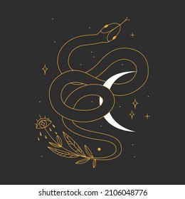 abstract illustration of mystical snake. image of beasts, hands, phases of the moon and sun. sacred graphics geometry. mystical energy