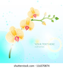 Abstract illustration of orchid