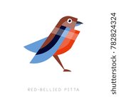 Abstract illustration of red bellied pitta. Colorful bird made from simple geometric figures. Flat vector design for print, business or zoo store logo