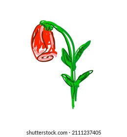 abstract illustration, rose symbol romantic, fragrant, feminine