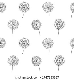 Abstract illustration of set of multiple dandelion flowers against white background. illustration of decorative floral design background