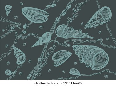 Abstract illustration with shells and algae. Hand-drawn graphic vector background composition for design.