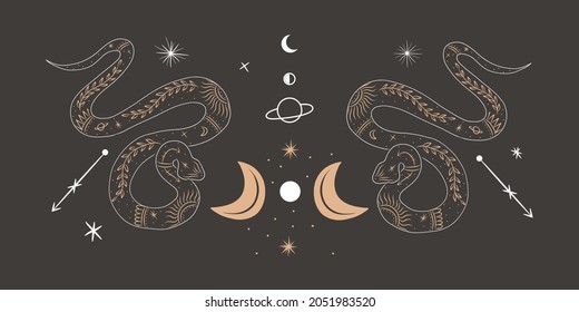 abstract illustration of a silhouette of the animal of the wild world. sacred geometry and celestial space bodies. bogemical of the sun and moon