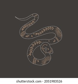 abstract illustration of a silhouette of the animal of the wild world. sacred geometry and celestial space bodies. bogemical of the sun and moon