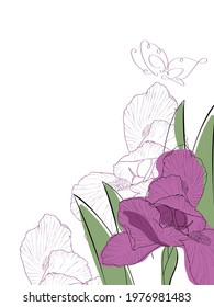 Abstract illustration of spring iris flower. Minimal design, freehand composition, modern style. Elegant poster for a Scandinavian interior. Template for postcards, wedding cards, invitations.