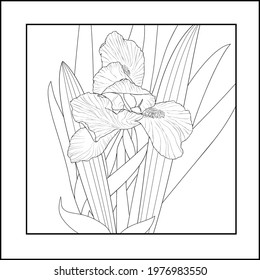 
Abstract illustration of spring iris flower. Minimal design, freehand composition, modern style. 
