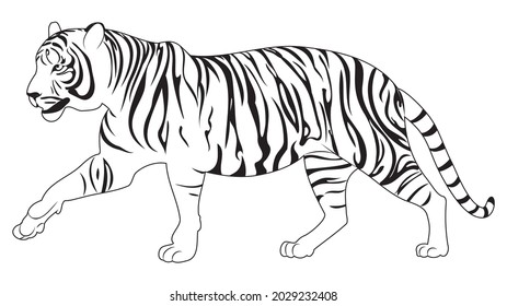 Abstract illustration with walking tiger in line art style.