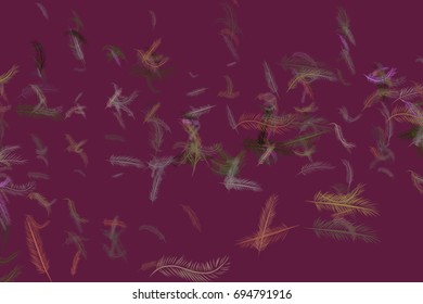 Abstract illustrations of feather, conceptual. Good for design background. Cartoon style vector graphic.