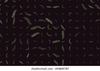 Abstract illustrations of feather, conceptual. Good for design background. Cartoon style vector graphic.